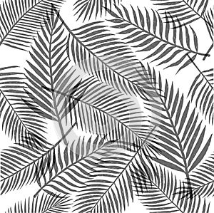 Black and white tropical leaves background