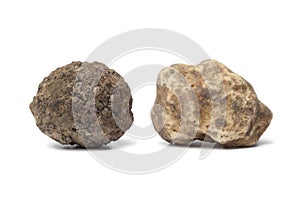 Black and white truffle
