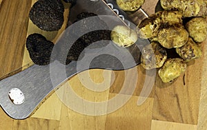 Black and white truffle mushroom