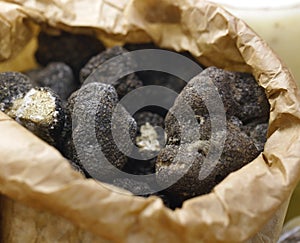 Black and white truffle mushroom