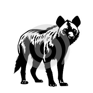 Black and white vector hyena animal on white background