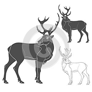 Black and white vector illustration of a deer. Isolated objects. EPS10