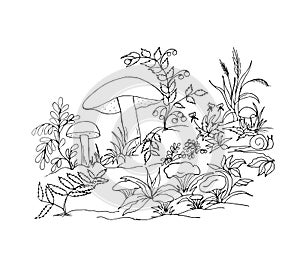 Black and white vector illustration of a forest clearing with chanterelle mushrooms, porcini mushrooms, plants, flowers