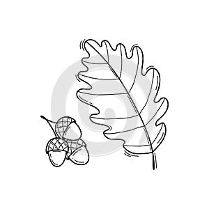 Black and white vector illustration of oak leaf and acorn in doodle style, sketch line art isolated on white background