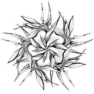Black and white vector illustration for a tattoo. Gothic floral ornament drawn by ink