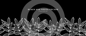 Black and white vector illustration with white vectors and leaves on a black background for decor, covers, backgrounds, wallpapers