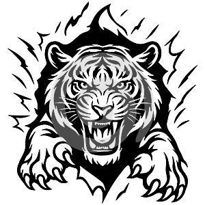 Black and white vector of roaring tiger head with extended paws and sharp claws, clean outline, , isolated on white background