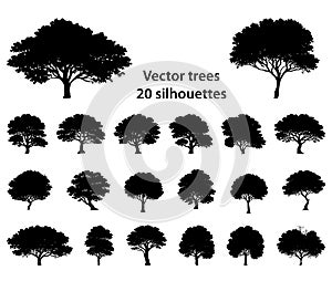 Black and white vector silhouette tree