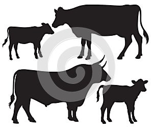 Black and white vector silhouettes of cattle