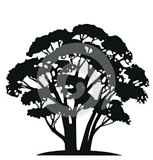 Black and white vector tree silhouette.