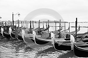 Black and White Venice Gondolas Docked