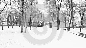 Black white video. Winter landscape, city, street, park, nature. Winter weather, no people. Video HD modern