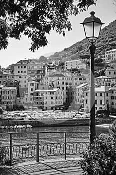 Black and white view of Genova Nervi photo