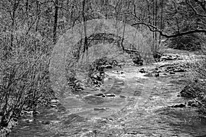 Black and White View of Jennings Creek, a Wild Mountain Trout Stream