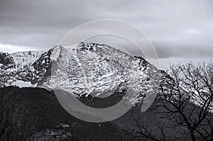 Black and white view of Pikes Peak from a residential neighborhood in Colorado Springs, Colorado