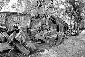 Black and White View of Ta Phrom