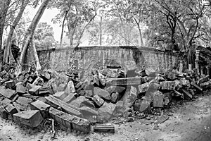 Black and White View of Ta Phrom