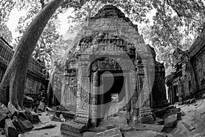 Black and White View of Ta Phrom