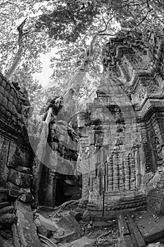 Black and White View of Ta Phrom