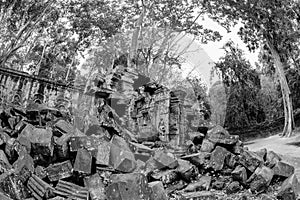 Black and White View of Ta Phrom