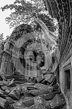 Black and White View of Ta Phrom