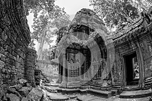 Black and White View of Ta Phrom