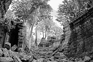 Black and White View of Ta Phrom