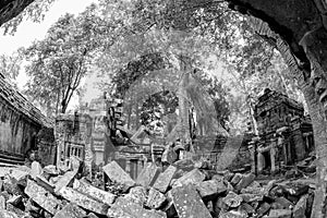 Black and White View of Ta Phrom