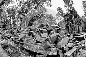 Black and White View of Ta Phrom