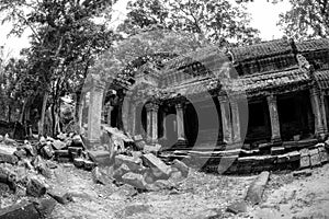 Black and White View of Ta Phrom