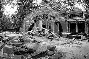 Black and White View of Ta Phrom