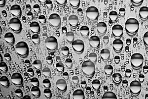 En blanco y negro Agua gotas 