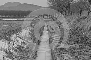 Black and white of water frozen in calvert