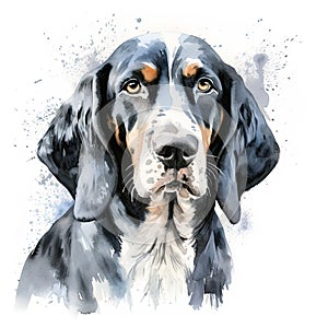 Black and white watercolor bluetick coonhound