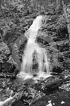 Black-and-White Waterfall