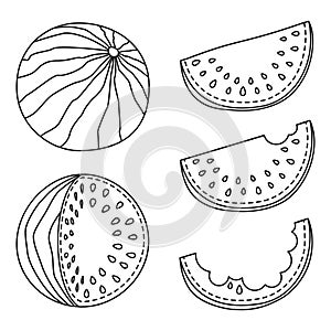 Black and white watermelon collection of 5 elements