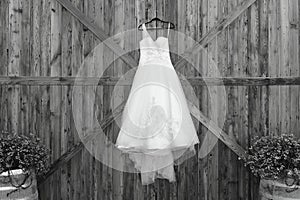 Black and white  wedding dress barn