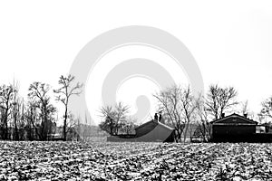 Black and white Winter landscape with trees and forest, Dry tree without leaf with house and the ground covered snow