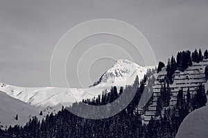 Black and White Winter Snowy Mountain Peak at the Alps with Pine Forest