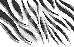 Black and white zebra 3d abstract vector design