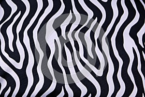 Black And White Zebra Animal Print Pattern