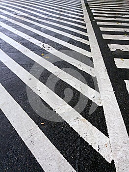 black and white zebra crossing