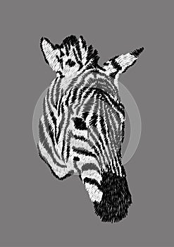 Black and white zebra design for clothing. embroidery animal