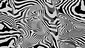 Zebra Abstract Background