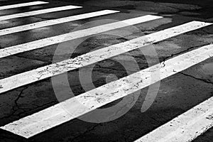 Black and White Zebra, Pedestrian Crossing on the Road photo