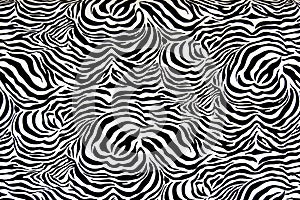 Black and white zebra skin pattered material creates an optical illusion.