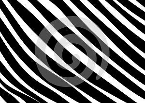 Black and white zebra stripes background pattern design