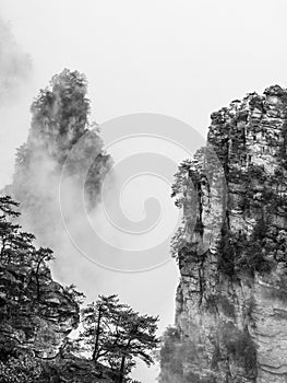 Black and white Zhangjiajie