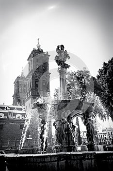 Black White Zocalo Park Plaza Cathedral Puebla Mexico