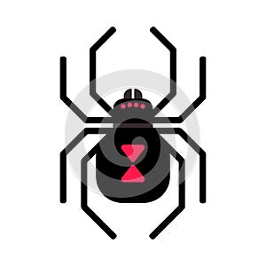 Black widow spider icon